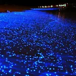 Casa - Posada El Alcatraz