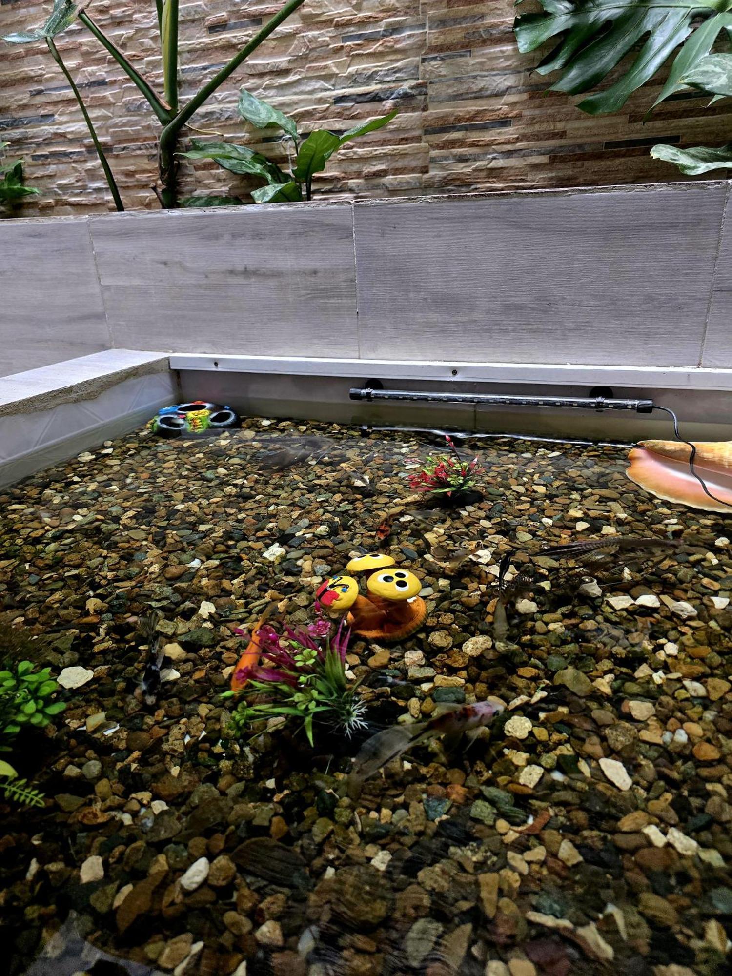 Bed and breakfast Casa - El Alcatraz