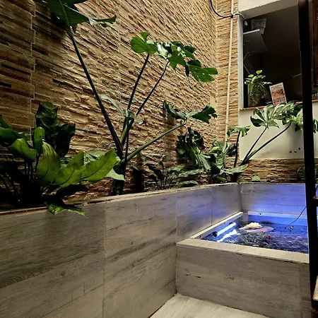 Bed and breakfast Casa - El Alcatraz *